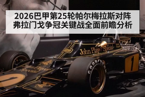 2026巴甲第25轮帕尔梅拉斯对阵弗拉门戈争冠关键战全面前瞻分析